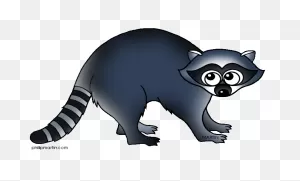Racoon Clip Art & Racoon Clip Art Clip Art Images - ClipartFlare