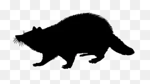 Racoon Mammal Animal Shape PNG-WebP Png Icon Free Download (#73388 ClipartFlare.com 