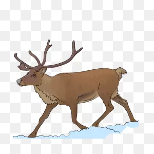 Reindeer Clipart. Free Download Transparent .png | ClipartFlare