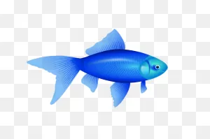 Blue Fish Png Image Image Free - High Quality Image For Free Here !!