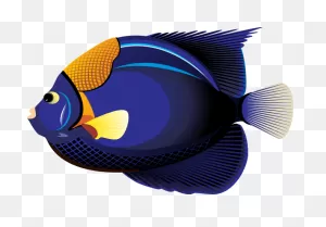 Clipart Tropical Fish - ClipartFlare