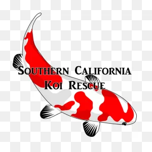 Hello World! – Southern California Koi Rescue