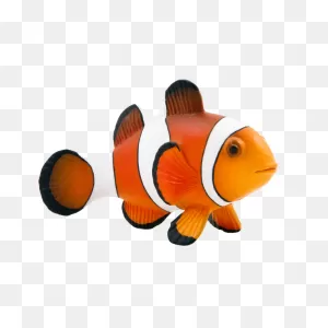 Maroon Clownfish Animal Mojo Fun 387090 Clown Fish - Png Download ClipartFlare.com 