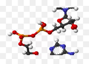 Chemical Reaction Clipart - Png Download - Full Size Clipart ClipartFlare.com 