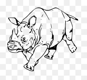 Rhinoceros - Rhino Drawing Free Png Clipart - Full Size Clipart ClipartFlare.com 