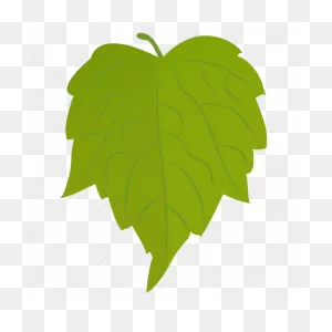 Birch Leaf, Foliage, Leaf, Paper Birch, River Birch Icon - Download On ClipartFlare.com 