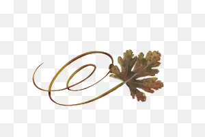 Fall Leaves For Fall Weddings | Leaves Graphics & Fall Wedding ClipartFlare.com 