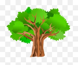 Free Birch Tree Png, Download Free Birch Tree Png Png Images, Free ClipartFlare.com 
