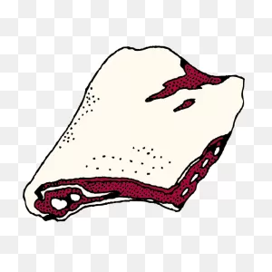 Rack Of Ribs Vector Clip Art | Free PNG-WebP