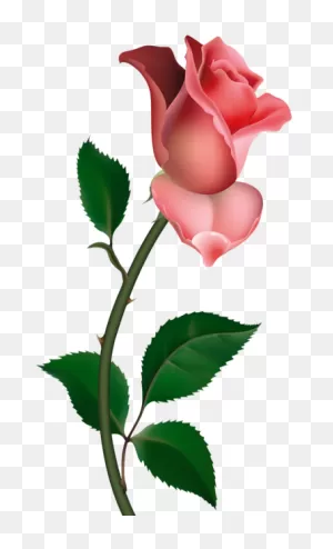 Clipart Rose Png Picture | Pintura Em Tecido Flores, Pintura Em ClipartFlare.com 