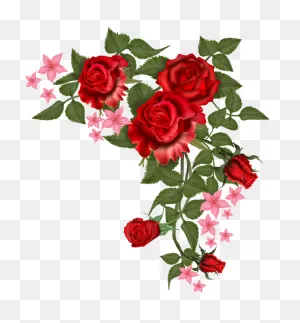 Flowers - Vector Rosa Png | Rosas, Rosas Rojas, Arreglo Floral Rosas