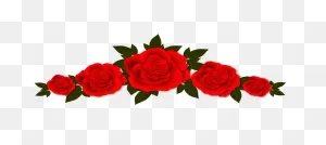 Roses Flowers Vignette - Free Image On Pixabay