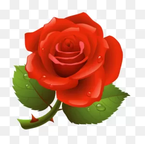 Rosas Clipart - ClipartFlare