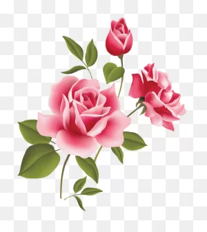 Rose Flower Animation Flash - Cute Rose Drawing Easy Clipart ClipartFlare.com 