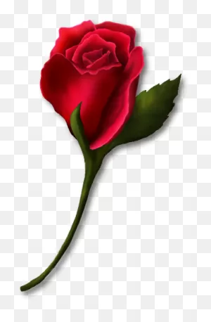 Red Rose With Stem Clipart. Free Download Transparent .png | ClipartFlare