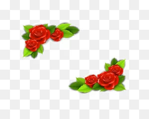 Beach Rose Flower Adobe Illustrator - Vector Red Rose Border Png ClipartFlare.com 