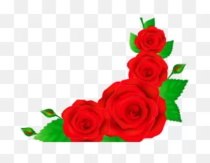 Border Clipart Rose - Red Rose Corner Border Png Transparent Png ClipartFlare.com 