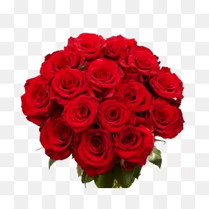 50 Stems Of Red Paris Roses- Fresh Flower Delivery