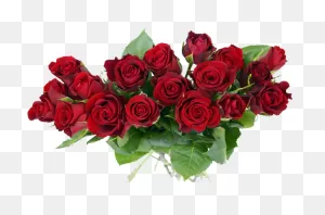 Bunch Of Red Rose Flowers Png Hd - 2021 Full Hd Transparent Png