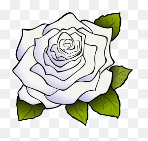 Download White Rose Png Clipart Clip Art Drawing Flower - White ClipartFlare.com 