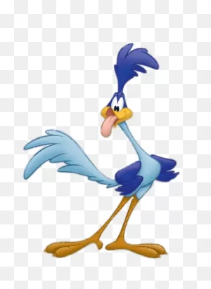 Road Runner Transparent Png - Stickpng