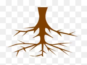Roots Clipart Plant Root - Png Download - Full Size Clipart ClipartFlare.com 