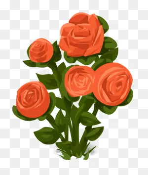 Rose Bush Roses Orange - Free Vector Graphic On ClipartFlare
