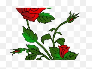 Rose Bush Clipart Rose Plant - Png Download - Full Size Clipart ClipartFlare.com 