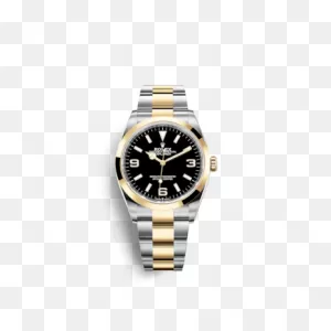 Rolex Explorer - Mastering The Extremes