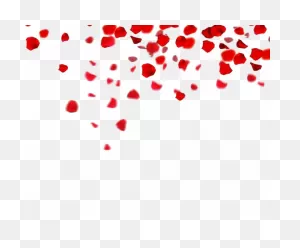Falling Rose Petals Png Clipart | 
