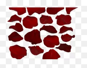 Petal Clipart Transparent Tumblr - Rose Petals Png Background Hd ClipartFlare.com 