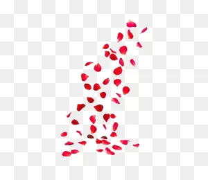 Rose Petals Png Image Hd | Png All