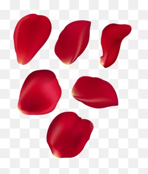 Rose Petal Set Red Transparent Clip Art In 2021 | Rose Petals ClipartFlare.com 