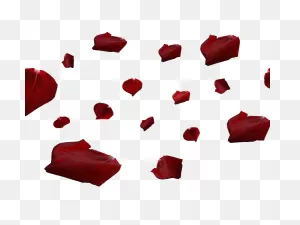 Red Rose Petals Png (Isolated-Objects) | Textures For Photoshop