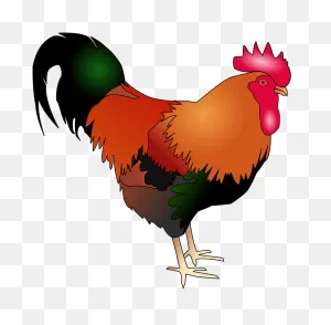 Rooster Clipart. Free Download Transparent .png | ClipartFlare
