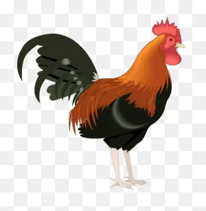 Rooster Clip Art Cartoon Free Clipart Images - ClipartFlare ClipartFlare.com
