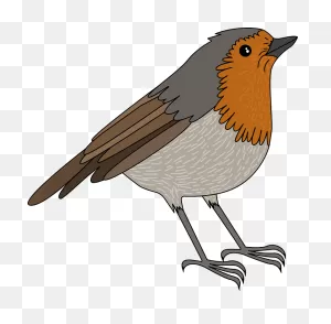 Robin Clipart. Free Download Transparent .png | ClipartFlare
