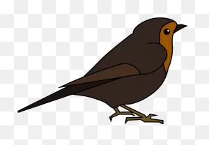 Robin Bird Nature - Free Vector Graphic On ClipartFlare