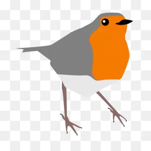 Robin Bird Grey And Orange | Free PNG-WebP