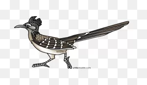 Free Road Runner Cliparts, Download Free Road Runner Cliparts Png ClipartFlare.com 