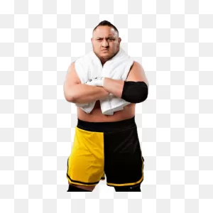 Best 40 ]» Samoa Joe Png» Hd Transparent Background