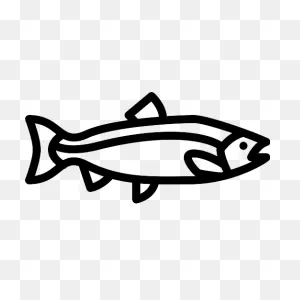 Big Salmon Vector PNG-WebP Icon - Png Repo Free Png Icons