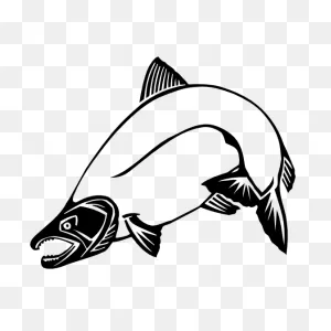 Salmon Fish Fishing Sticker