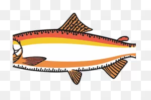 Salmon Clipart Orange Fish - Png Download - Full Size Clipart ClipartFlare.com 