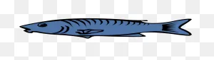 Salmon-Fish-Clip-Art-Salmon-Clipart-Liftarn_Blue_Fish | North Park ClipartFlare.com 