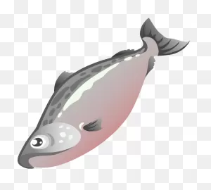 Salmon Fish Clip Art - Cute Salmon Cliparts Png Download - 800*720 ClipartFlare.com 