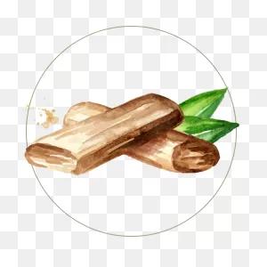 Sandalwood | Juicy Chemistry