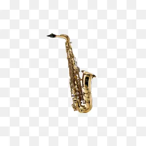 Alto Saxophone Forestone Gx Finishing Gold Lacquered