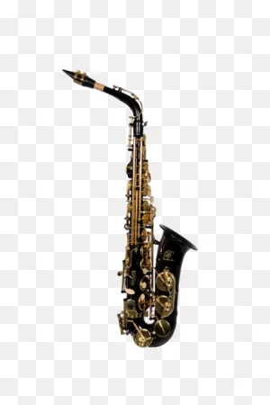 B - U.s.a. Was-Bk Alto Saxophone Black