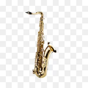 Forestone Tenor Saxophone